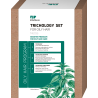Zestaw Oily Hair Trychologiczny peeling, szampon i odżywka