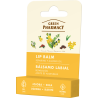 Green Pharmacy Regenerujący  balsam do ust jojoba i masło shea 3,6g