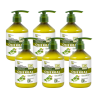 Odżywka do włosów normalnych do codziennego stosowania z ekstraktem z brzozy O'Herbal 500ml x6