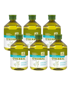 Szampon do włosów suchych i zniszczonych z ekstraktem z lnu O'Herbal 500ml x6