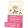 Green Pharmacy Ochronny balsam do ust dzika róża i olej migdałowy 3,6 g